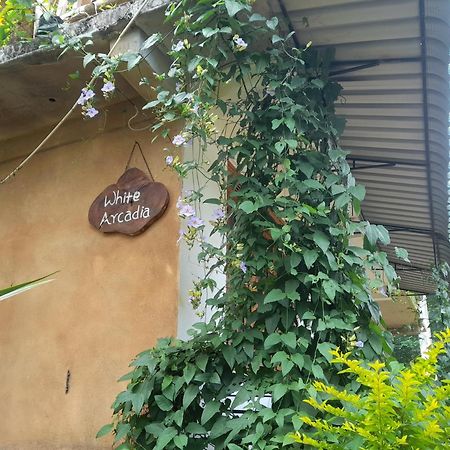 White Arcadia Cottage Ella Ngoại thất bức ảnh