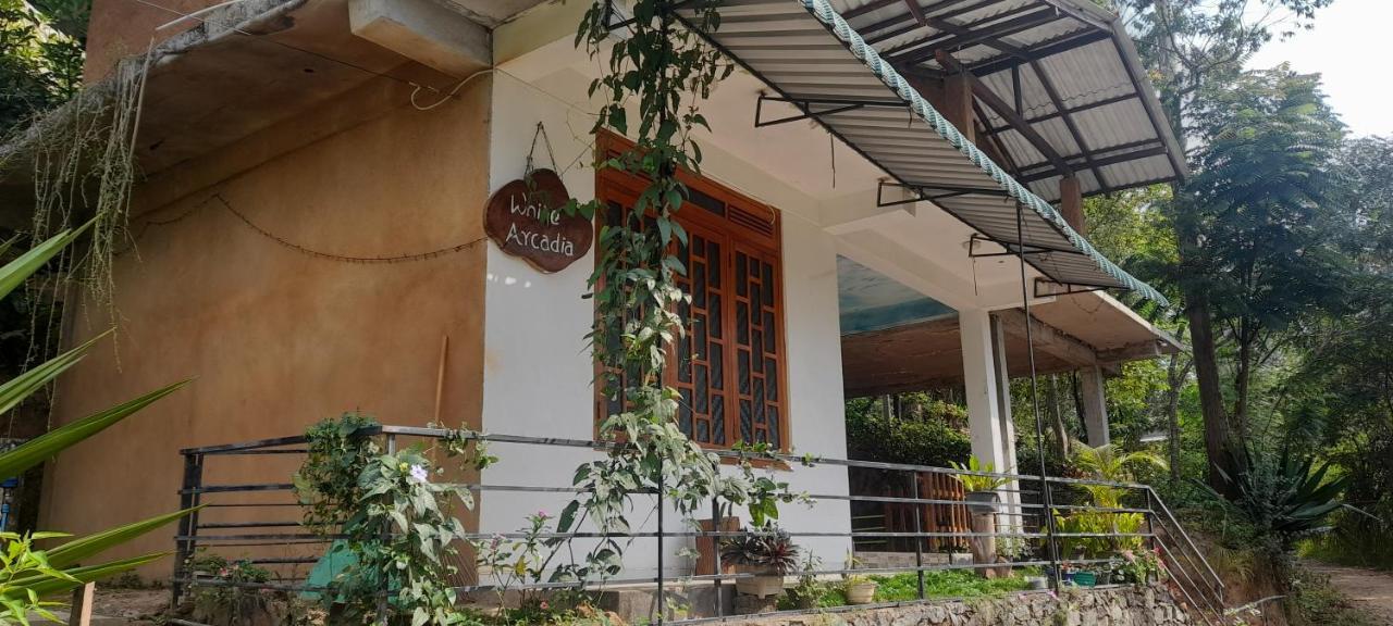 White Arcadia Cottage Ella Ngoại thất bức ảnh