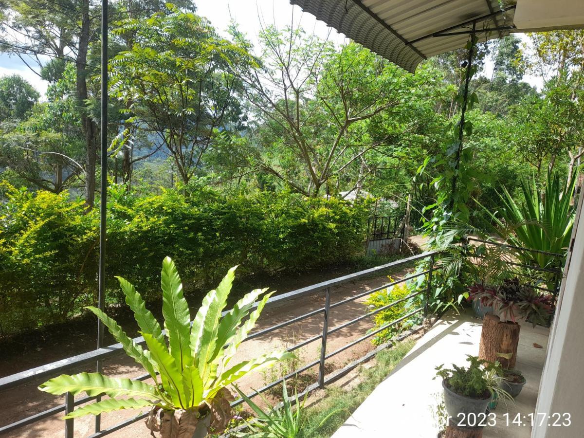 White Arcadia Cottage Ella Ngoại thất bức ảnh