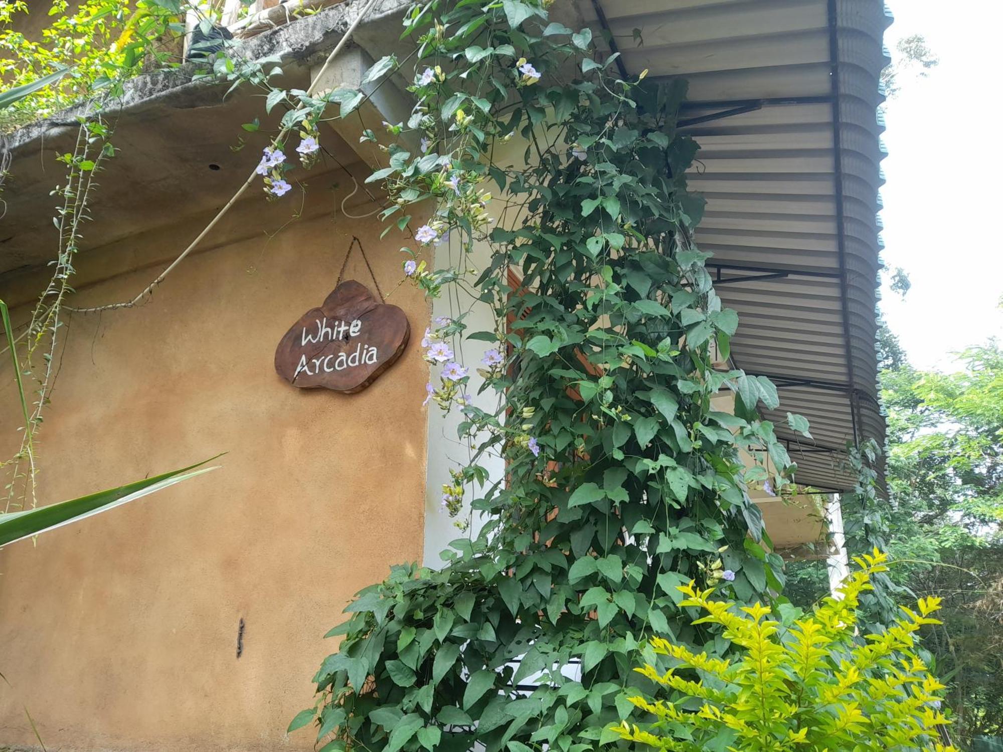 White Arcadia Cottage Ella Ngoại thất bức ảnh