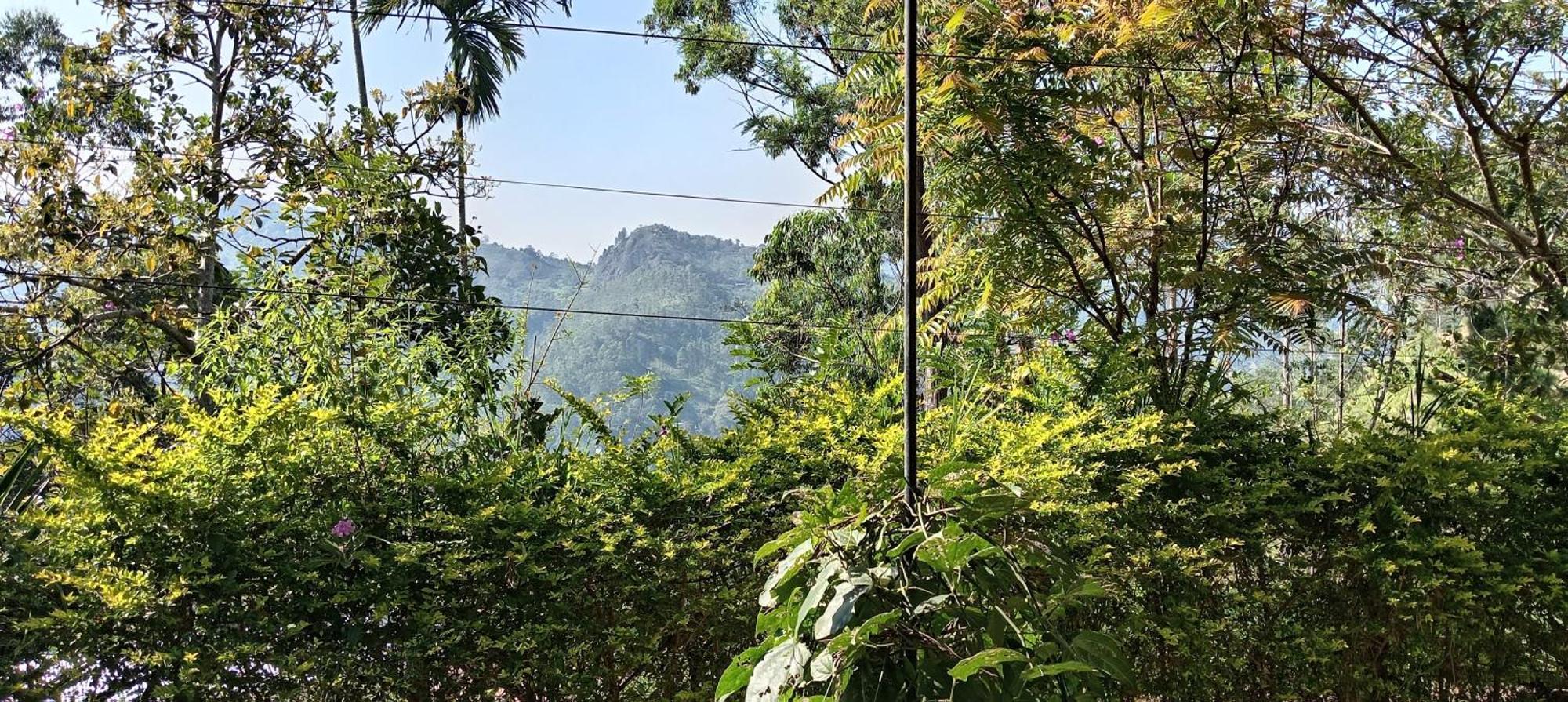 White Arcadia Cottage Ella Ngoại thất bức ảnh